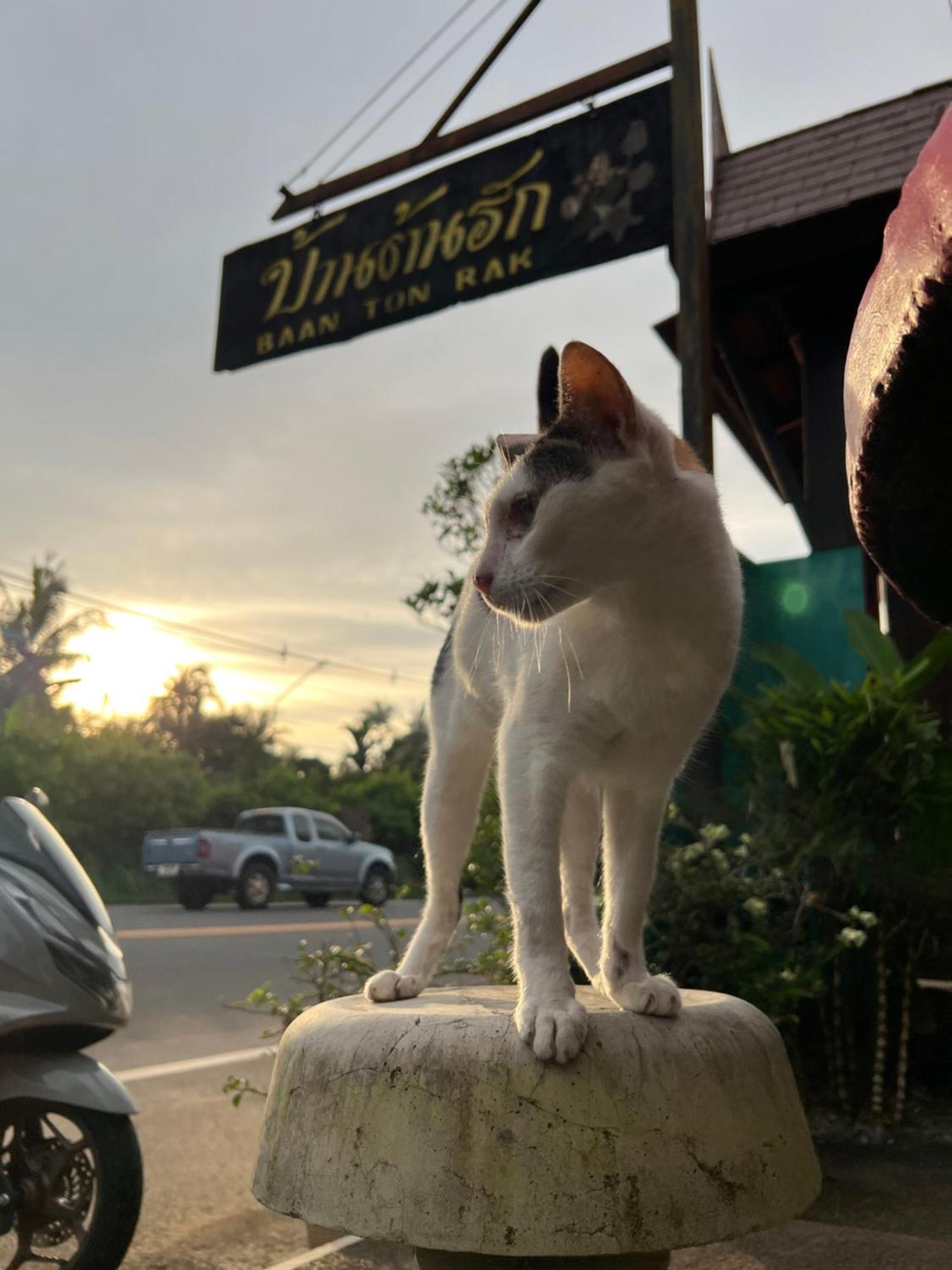 Baan Ton Rak Boutique Resort Csang-sziget Kültér fotó